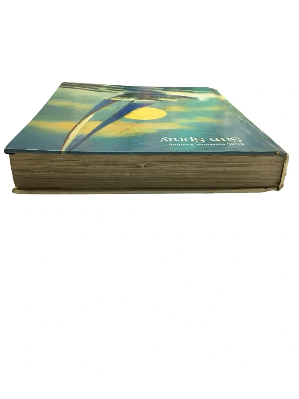 Vintage 1982 Sun Spray Level 12  Scott Foresman Reading Student Textbook Book